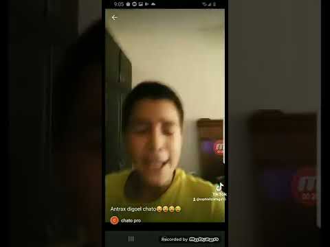 jajaja están aquí en YouTube como chato pro