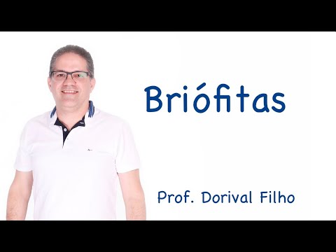 Briófitas