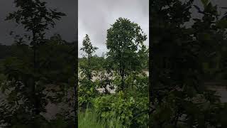 Download lagu rehar nadi Chhattisgarh river 2023😰🤷 mp3 Download lagu rehar nadi Chhattisgarh river 2023😰🤷 mp3