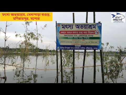 মৎস্য অভয়াশ্রম