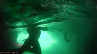 preview picture of video 'Swimming in Emerald Cave - Koh Mook Thailand'