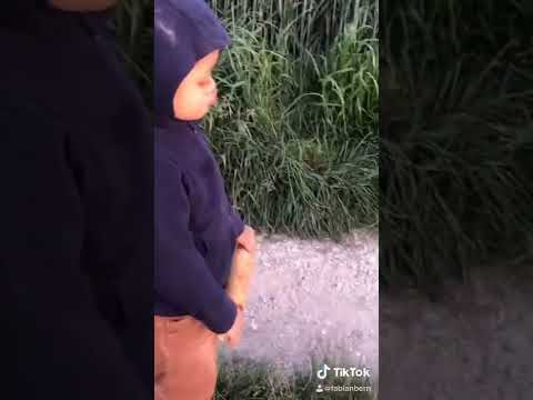 ঘুড়ি উড়ানো Drachenfliegen kite flying Fabian.