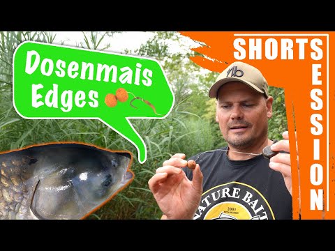 Es beißt am Vereinsteich 🎣 Karpfen, Graser, Brasse & Co. | Kurze Session beim Karpfenangeln ⏳ Teil 2