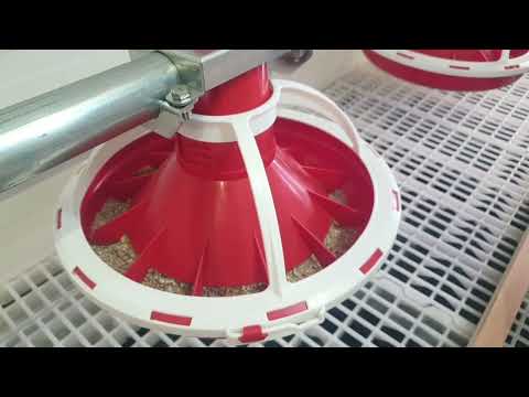 Das automatische Fütterungssystem