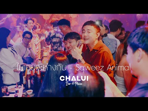 ไม่เคยจะห่างกัน - Sqweez Animal Live at Chalui Bar & Music