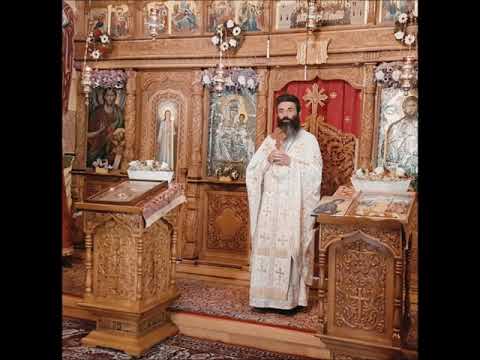 20210711 NICOLAE BALASOIU - DUMINICA A 3 A DUPA RUSALII – DESPRE GRIJILE VIETII