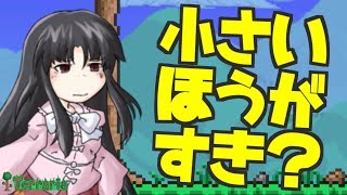 お前ら、小さい方が好きなんだろ？【Terraria】