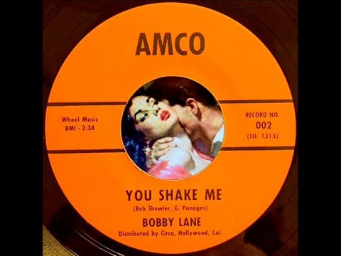 Bobby Lane - You Shake Me