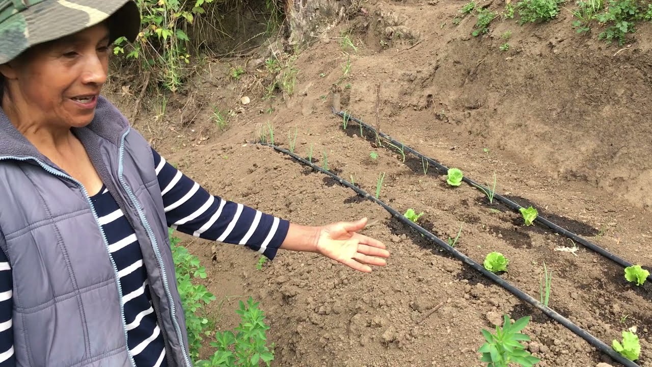 !Viva la AGROECOLOGÍA !