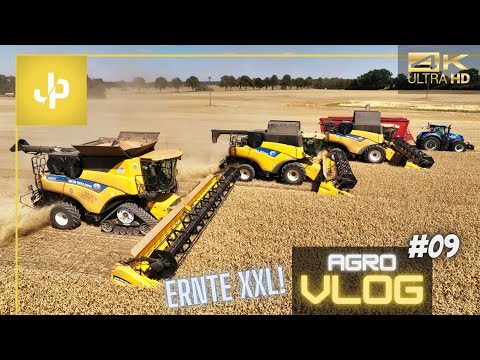 XXL wheat harvest with NEW HOLLAND! Harvesting 2022 - Agrovlog #09 || JP Agrar