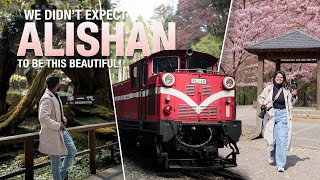 Lost in Alishan's Cherry Blossom Season 🇹🇼 | Taiwan's Most Peaceful Mountain Escape
