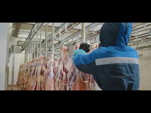 Inside Al Bashayer Red Meat Company SAOC (English Language)
