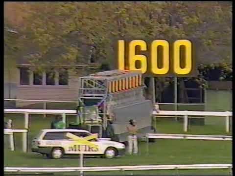 1990 Flight Stakes