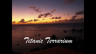 Titanic Terrarium by Julie Doiron (Tragically Hip cover)