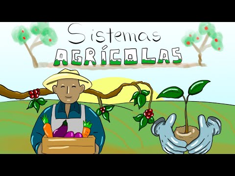 Sistemas Agrícolas: Intensivo e Extensivo, Familiar, Patronal e MUITO MAIS! (Geografia Agrária)