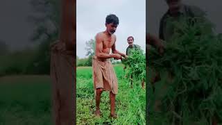 Download lagu Aj khol day ang ang mera way mp3 Download lagu Aj khol day ang ang mera way mp3