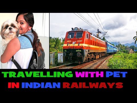 Travelling With Pet In Indian Railways | Detailed Information and Tips by Indian Petmom