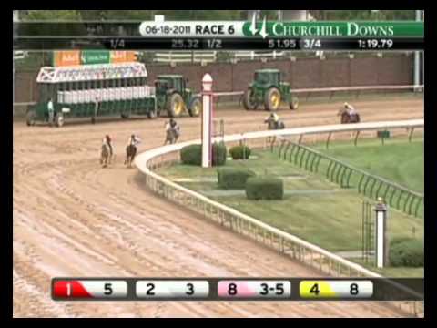 2011 UAE President's Cup Race