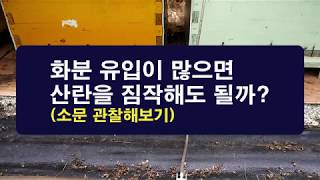 화분 유입이 많으면 산란으로 봐도 될까? 벼 화분 유입때는 꼭 화분떡을.