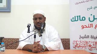 صورة شرح ألفية ابن مالك - 10 - الشيخ محمد محمود الشنقيطي