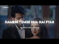 Hamein Tumse Hua Hai Pyar Slow Reverb Udit Narayan Alka Yagnik  KuberEditz Lofi