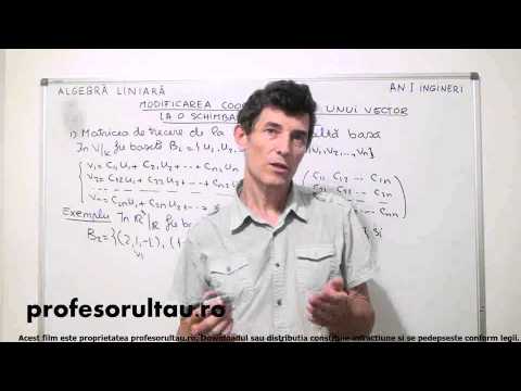 26   Modificarea coordonatelor unui vector la o schimbare de baze   partea 1 - profesorultau.ro