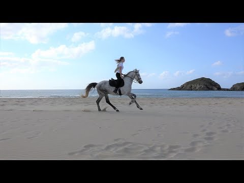 Cavalli al galoppo a  su Giudeu -  Chia -  Sardegna