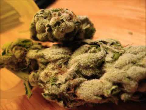 J Stalin - Show Me Somethang!