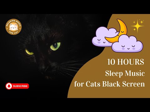 Sleep Music for Cats Black Screen 10 Hours 🐱🎵 Relaxing Music For Cat