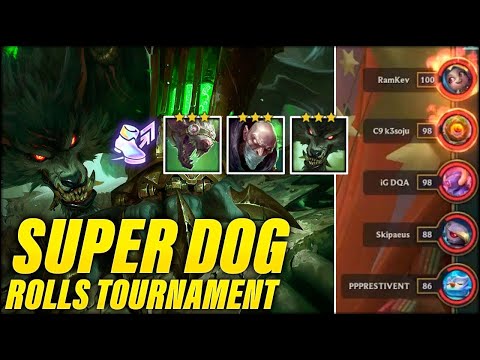 Bringing A Super Dog and Rat to A High MMR Tournament | Dogdog Teamfight Tactics