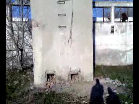 florinii de la furceni