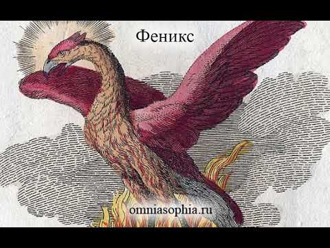 Феникс: символизм и значение.