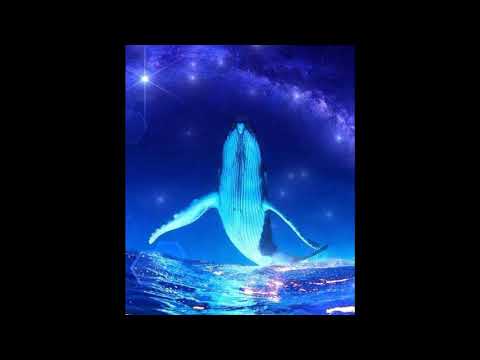 Pleiadian Message September 2019 ~  Whale Nation ~ KIN 51: Blue Crystal Monkey   New Earth