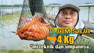 Download lagu 1 HOUR 4 Kg‼️💪FISHING FOR RED DEVIL AND NAHOL FISH THE FASTEST AND MOST‼️👌 mp3