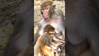 Download lagu https://pin.it/6A1WJIWJ8 mp3 Download lagu https://pin.it/6A1WJIWJ8 mp3