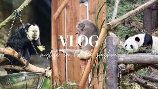 【中国life🌼】南京紅山森林動物園🐼 園一番のインフルエンサーは顔が白いサル！？