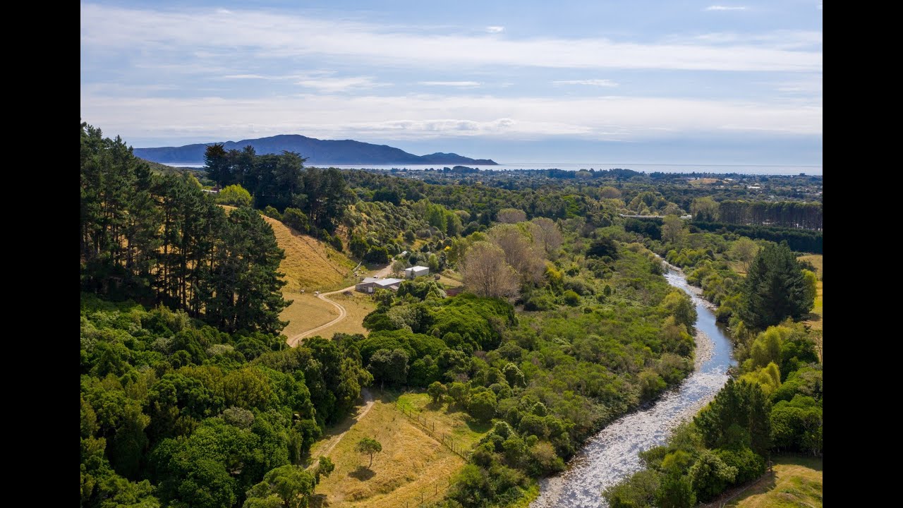 A Slice of Heaven with a Golden Egg