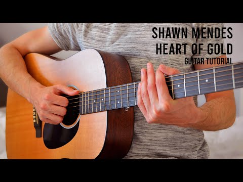 Shawn Mendes - Heart of Gold EASY Guitar Tutorial With Chords / Lyrics