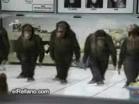 SADAM WAENDA KWASARA ''BOB''!