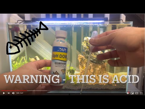 YouTube video about: How to lower the ph in a fish tank?