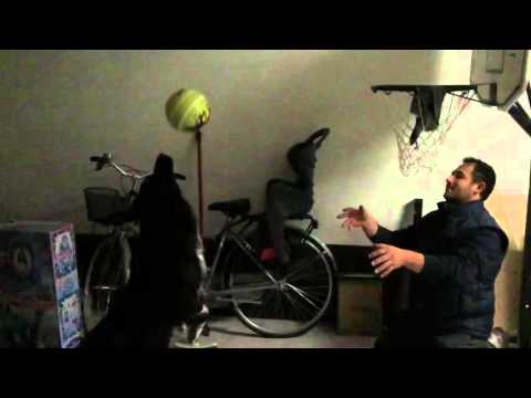 Axel slow motion basket