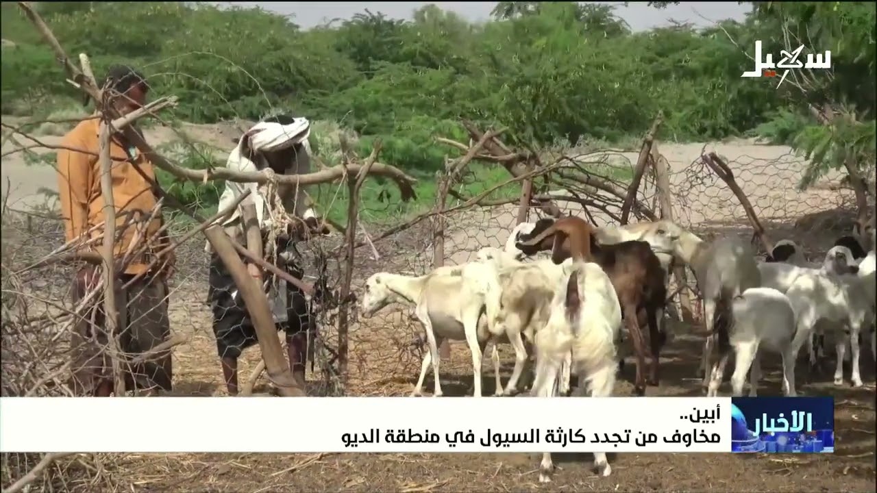 مخاوف من تجدد كارثة السيول في منطقة الديو بـ #ابين