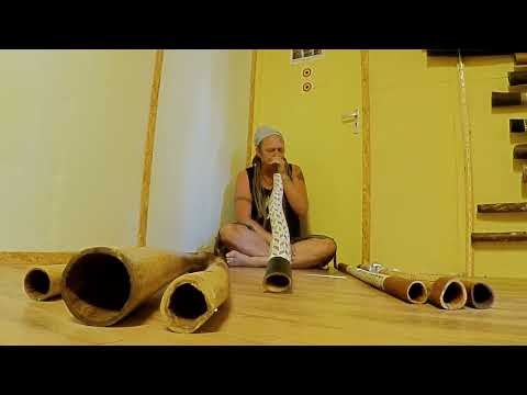 MT-Yidaki playing a Marikuku Wirrpanda F - F# yiḏaki - didgeridoo
