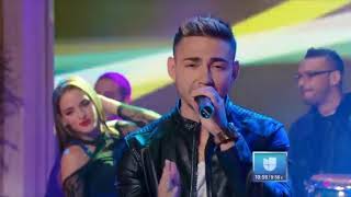 Rocko y Blasty en Despierta America