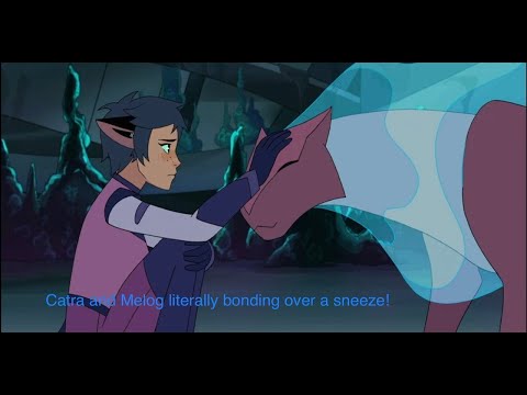 Catra and Melog literally bonding over a sneeze