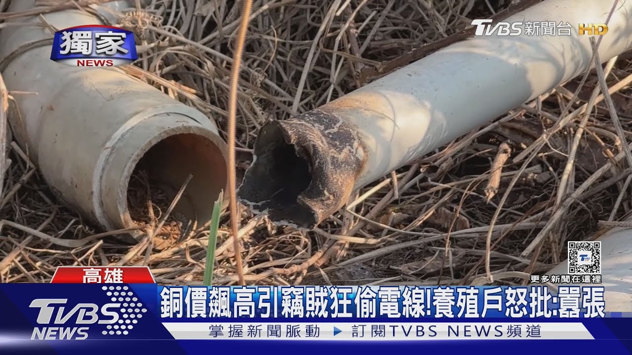 銅價飆高! 竊賊狂偷電線 絕緣體丟原地 養殖戶怒批:太囂張
