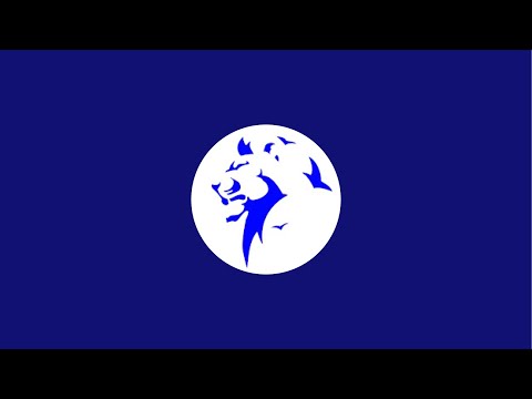 Baschet Leii - CSU Ploiesti