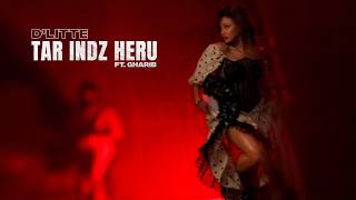 D'Litte - Tar indz heru ft Gharib(Mood Video) D'Litte - Tar indz heru ft Gharib(Mood Video)