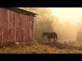 Lana Puckett & Kim Person - Cornstalk Pony Days (Music Video)