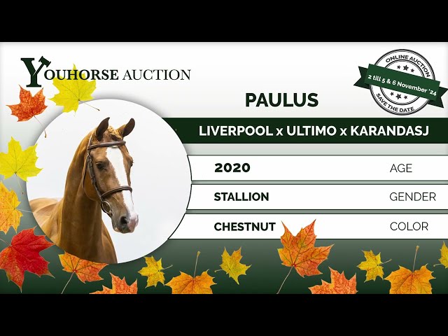 Paulus